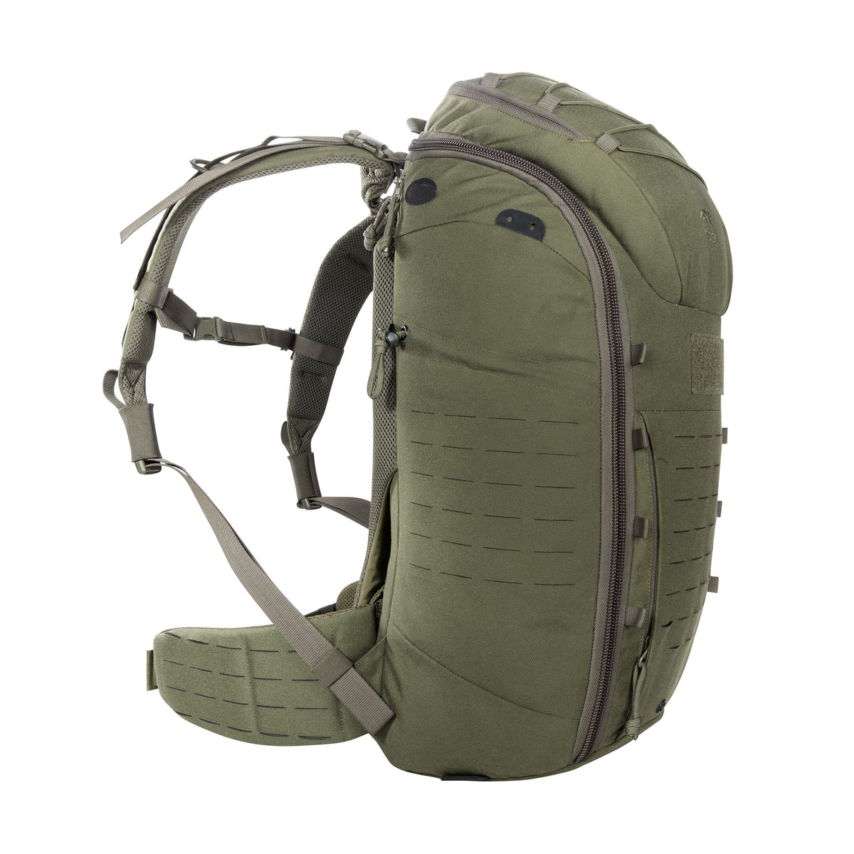 Mugursomas gurnu josta Tasmanian Tiger MOLLE Hip Belt Olive — detaļas